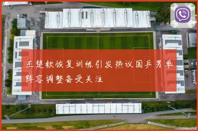 王楚钦恢复训练引发热议国乒男单阵容调整备受关注