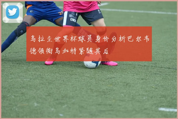 乌拉圭世界杯球员身价分析巴尔韦德领衔乌加特紧随其后