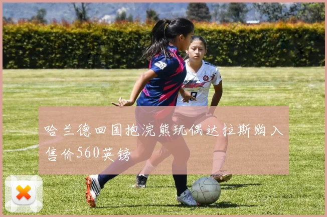 哈兰德回国抱浣熊玩偶达拉斯购入售价560英镑